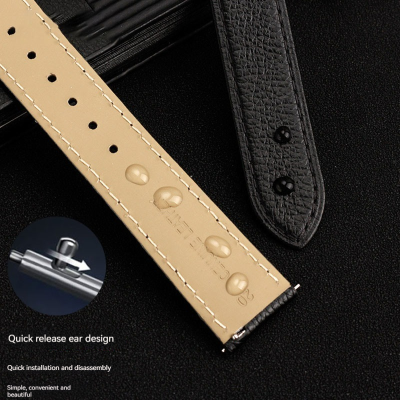 16/17/19/20/22/23mm Quick Rele - Cartier Watch Santos recension och pris