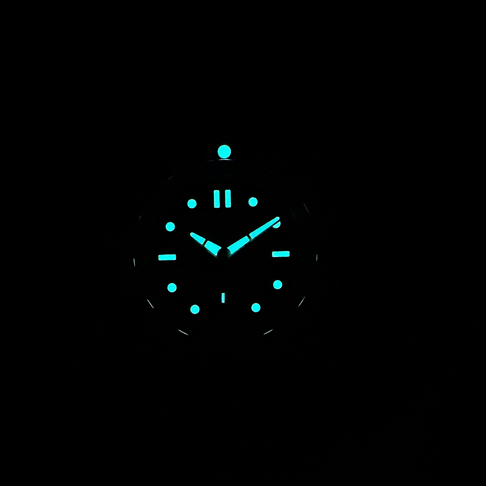 STEELDIVE Official New In SD19 - Seiko Watch Prospex recension och pris